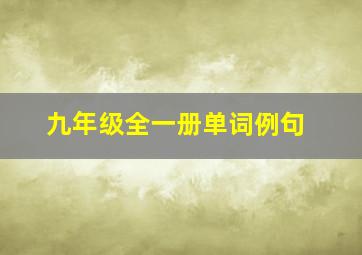 九年级全一册单词例句