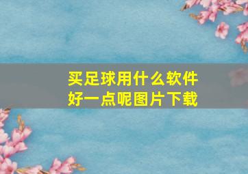 买足球用什么软件好一点呢图片下载