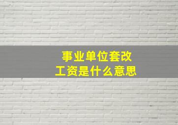 事业单位套改工资是什么意思