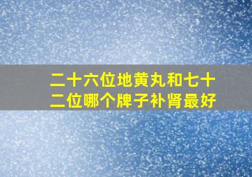 二十六位地黄丸和七十二位哪个牌子补肾最好