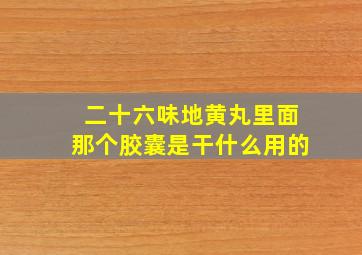 二十六味地黄丸里面那个胶囊是干什么用的