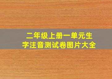 二年级上册一单元生字注音测试卷图片大全