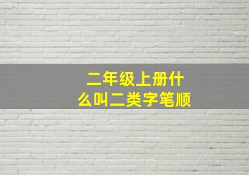 二年级上册什么叫二类字笔顺