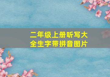 二年级上册听写大全生字带拼音图片