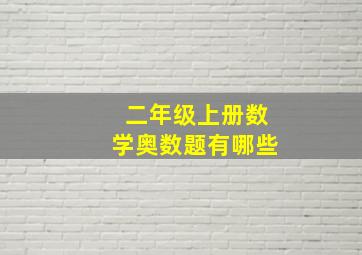 二年级上册数学奥数题有哪些