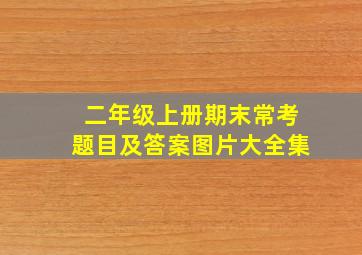 二年级上册期末常考题目及答案图片大全集