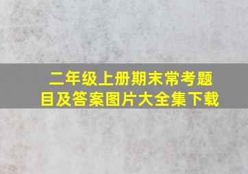 二年级上册期末常考题目及答案图片大全集下载