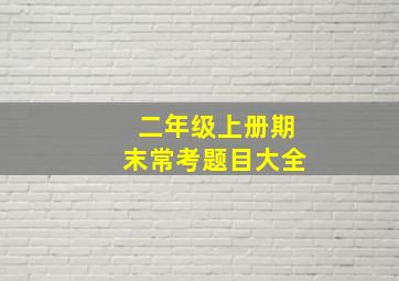 二年级上册期末常考题目大全