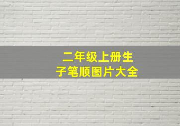 二年级上册生子笔顺图片大全