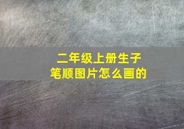 二年级上册生子笔顺图片怎么画的