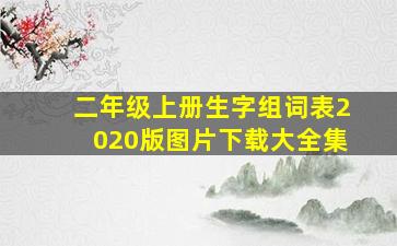 二年级上册生字组词表2020版图片下载大全集