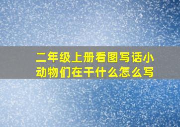 二年级上册看图写话小动物们在干什么怎么写