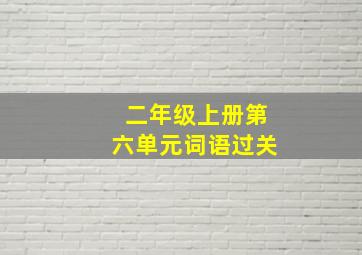 二年级上册第六单元词语过关