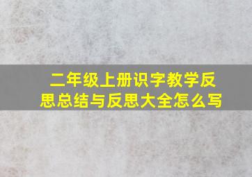 二年级上册识字教学反思总结与反思大全怎么写