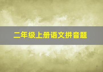 二年级上册语文拼音题