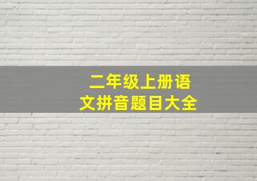 二年级上册语文拼音题目大全