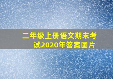 二年级上册语文期末考试2020年答案图片