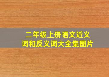 二年级上册语文近义词和反义词大全集图片