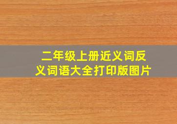 二年级上册近义词反义词语大全打印版图片