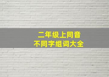 二年级上同音不同字组词大全