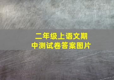 二年级上语文期中测试卷答案图片