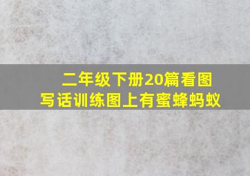 二年级下册20篇看图写话训练图上有蜜蜂蚂蚁