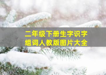 二年级下册生字识字组词人教版图片大全