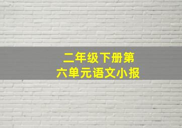 二年级下册第六单元语文小报