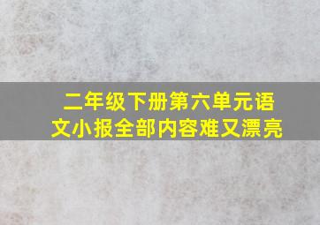 二年级下册第六单元语文小报全部内容难又漂亮