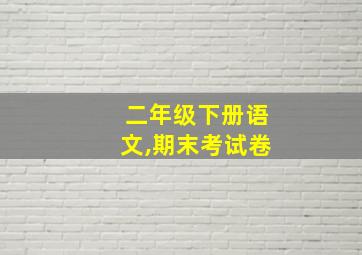 二年级下册语文,期末考试卷