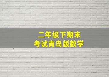 二年级下期末考试青岛版数学