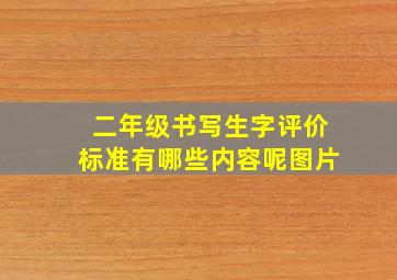 二年级书写生字评价标准有哪些内容呢图片