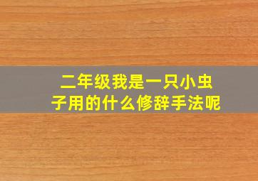 二年级我是一只小虫子用的什么修辞手法呢