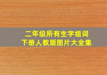 二年级所有生字组词下册人教版图片大全集