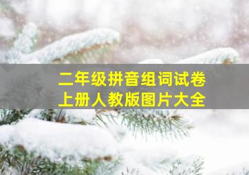 二年级拼音组词试卷上册人教版图片大全