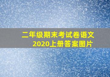 二年级期末考试卷语文2020上册答案图片