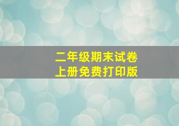 二年级期末试卷上册免费打印版