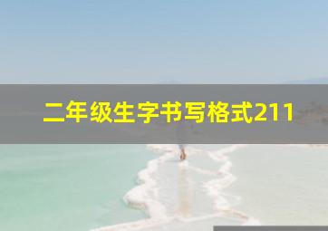 二年级生字书写格式211