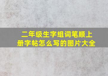 二年级生字组词笔顺上册字帖怎么写的图片大全