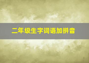 二年级生字词语加拼音