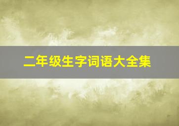 二年级生字词语大全集