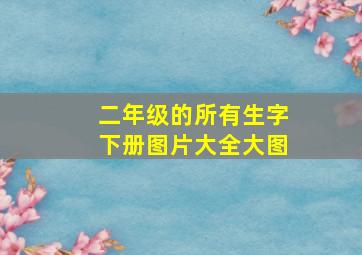 二年级的所有生字下册图片大全大图