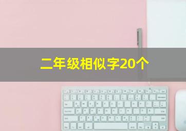 二年级相似字20个