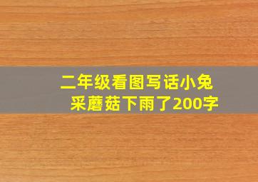 二年级看图写话小兔采蘑菇下雨了200字