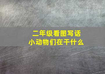 二年级看图写话小动物们在干什么