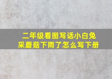 二年级看图写话小白兔采蘑菇下雨了怎么写下册