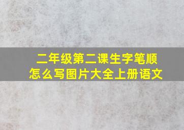 二年级第二课生字笔顺怎么写图片大全上册语文