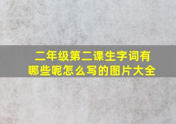 二年级第二课生字词有哪些呢怎么写的图片大全