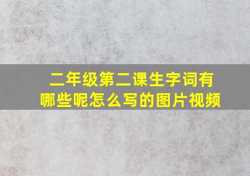 二年级第二课生字词有哪些呢怎么写的图片视频