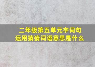 二年级第五单元字词句运用猜猜词语意思是什么